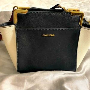 Calvin Klein Purse